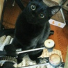 の写真
