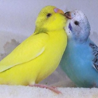 ありがとうございました。