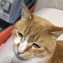 可愛がってくれる方