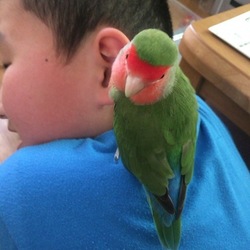 「次男とわっちゃん(*^^*)」サムネイル2