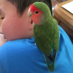 「次男とわっちゃん(*^^*)」サムネイル3