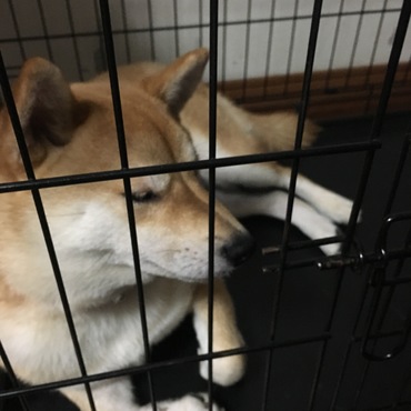 の写真