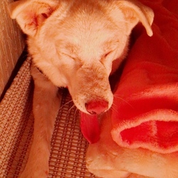 元気モリモリ〜✨