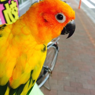 たくさんのご応募ありがとうございました！