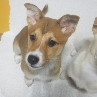 一時中断とさせて頂きます。