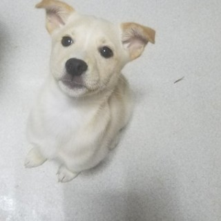 ありがとうございました