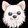 Revue動物愛護(保護活動者)