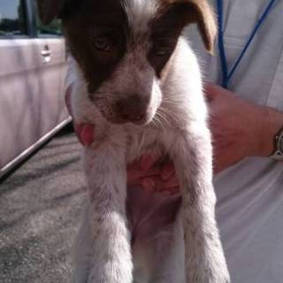 生後2ヶ月 女の子 ミックス