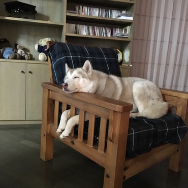 ちょうどいい枕