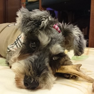 人が大好きで、甘えたな女の子♪