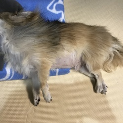 今はただ穏やかに旅立てるよう応援している