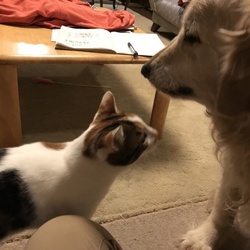 「最後の時に向けて」サムネイル3