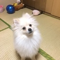 暖かい家族を探してます