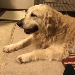 「最後の時に向けて」サムネイル2