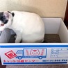 なお業務内容は。。。