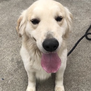 先方のご都合でキャンセルになり再募集です。