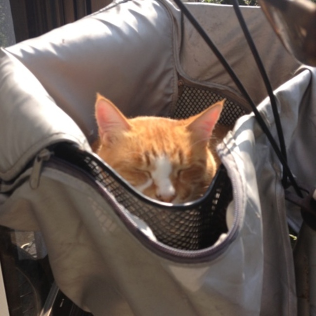 山田雅也のカバー写真