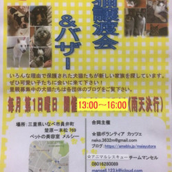 犬猫譲渡会&バザー