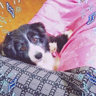 ストーカーのように いつも人の側で甘えたい女の子