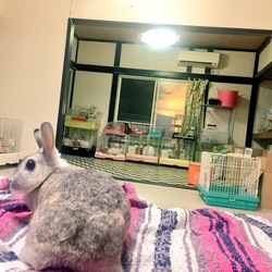 久しぶりに更新！