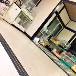 「久しぶりに更新！」サムネイル2