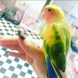 「久しぶりに更新！」サムネイル3