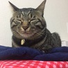 の写真
