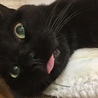 ぺろーん