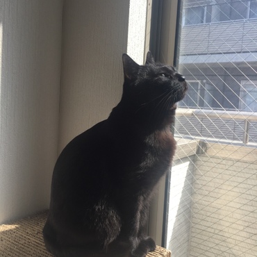 ひなたぼっこ