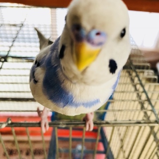 温かく迎えてあげてください！(検討中)