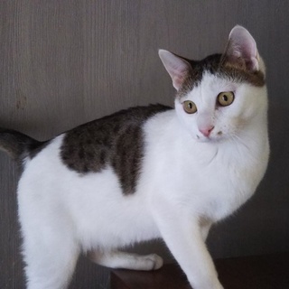 兄妹思いの優しすぎる子