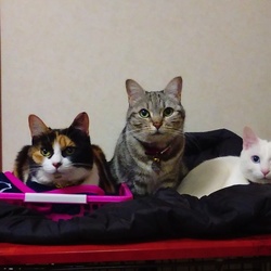 春がきて。心も暖かく仲良くなりました。