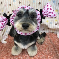 クルトン