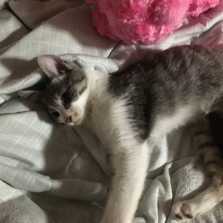 先着順で優先します！