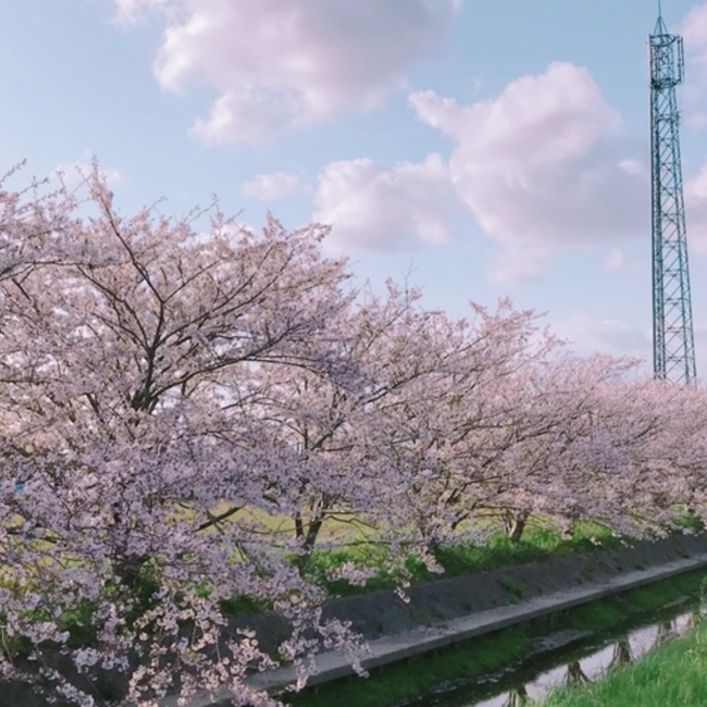 Jasmin_97のカバー写真