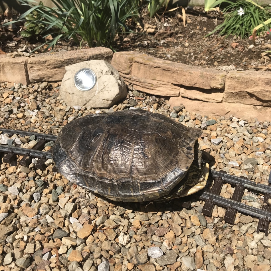 アップのカバー写真