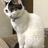 冬日向
