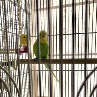 温かく迎えてあげてください！