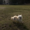 走るの大好き〜