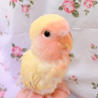 とても素敵なご縁がありました。