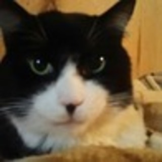 介護が必要ですが、人懐こいジェントルくんです