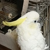 whiteM さん