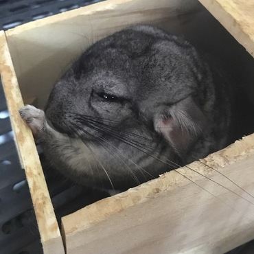 寝相