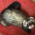 たくさんのご応募ありがとうございました。
