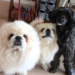 みんなで チックン (๑˃̵ᴗ˂̵)