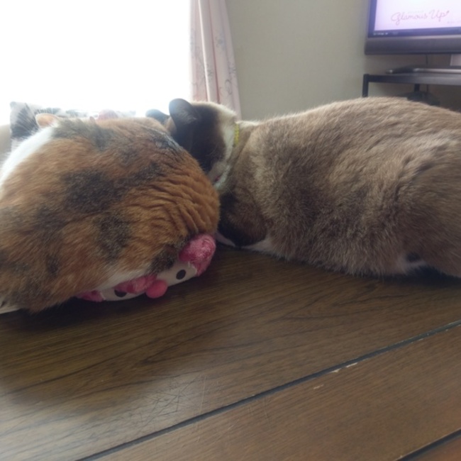 Rikky0715のカバー写真