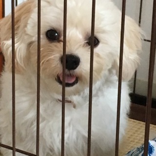 募集しています