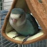 お気に入りみたいです