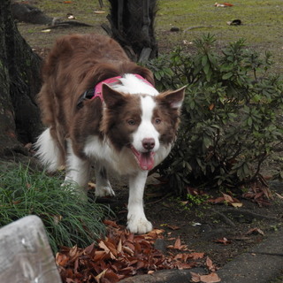 たくさんの御応募、ありがとうございました。