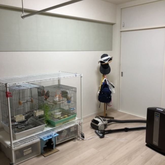 ゴン太のくちばしのカバー写真